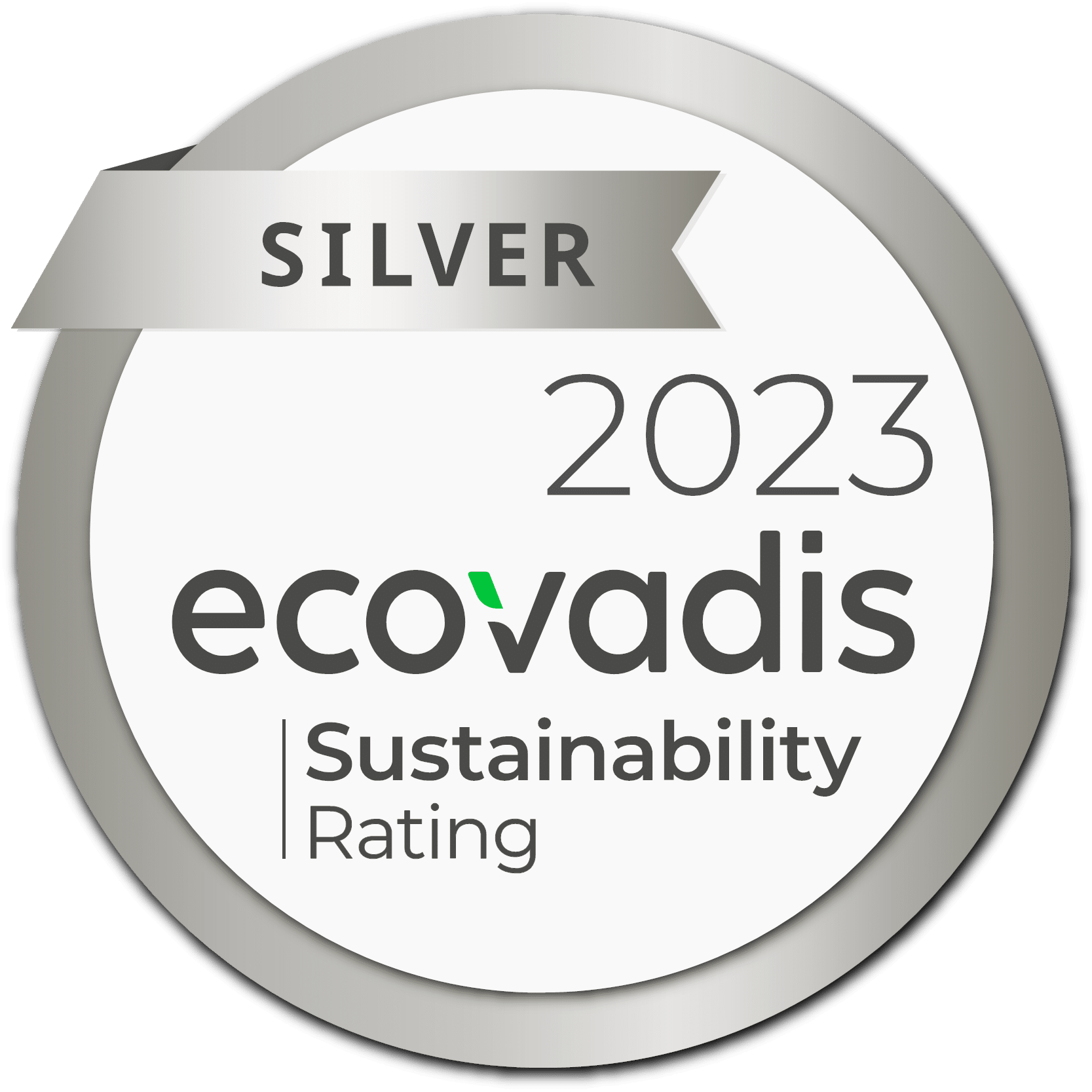 LOGO-SILVER 23 -PNG RSE logo silver medal