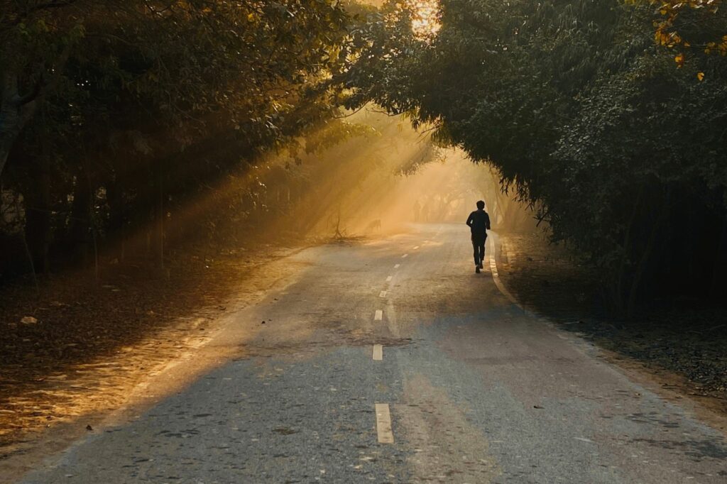 Lone runner on a sunlit tree-lined road